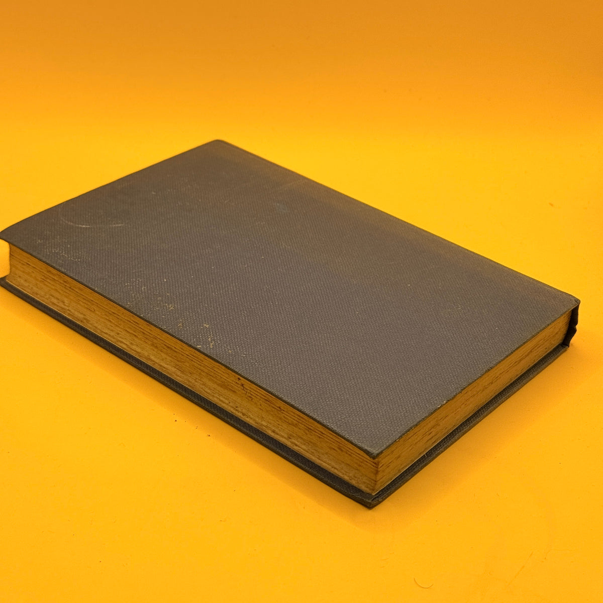 Frenchman's Secret by Monica Edwards (1959)
