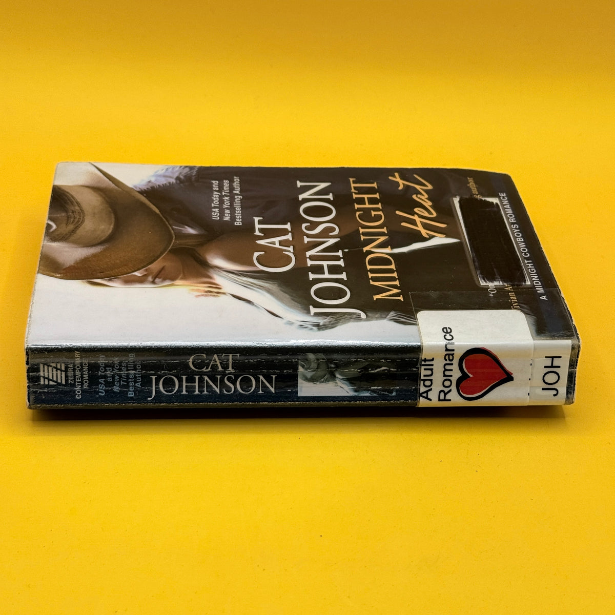 Midnight Heat by Cat Johnson