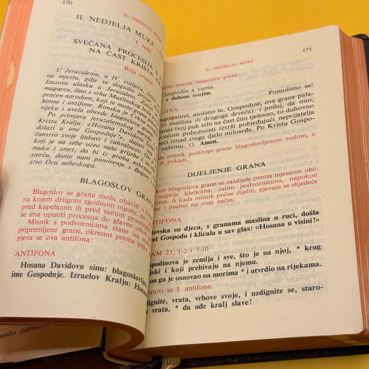 Nedjeljni i Blagdanski Misal by Dr. Fabijan Veraja (1966, Croatian)