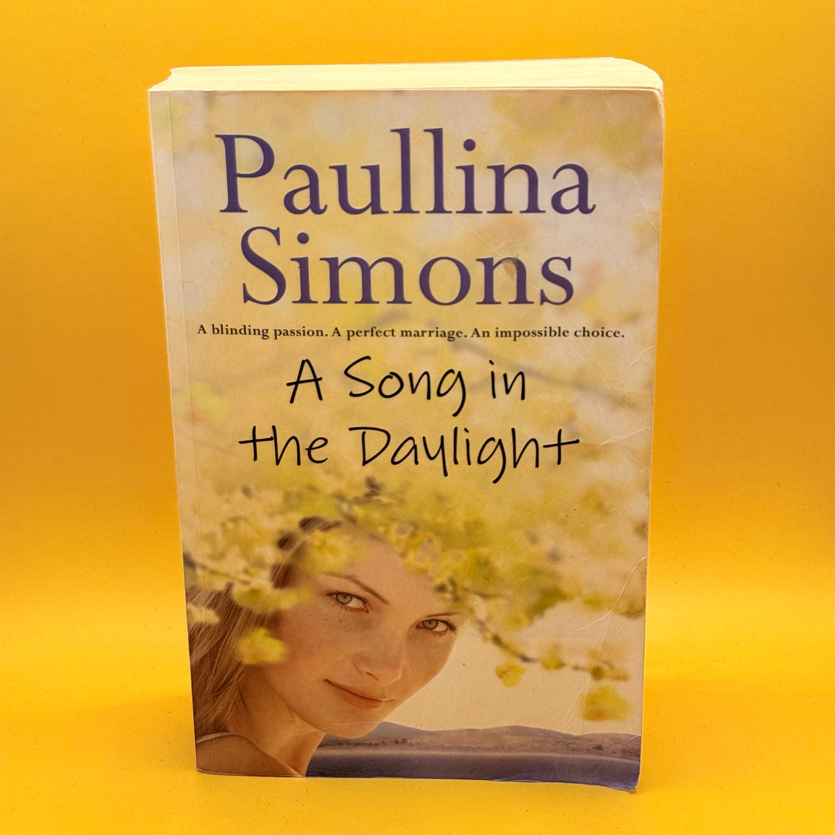 A Song in the Daylight by Paullina Simons