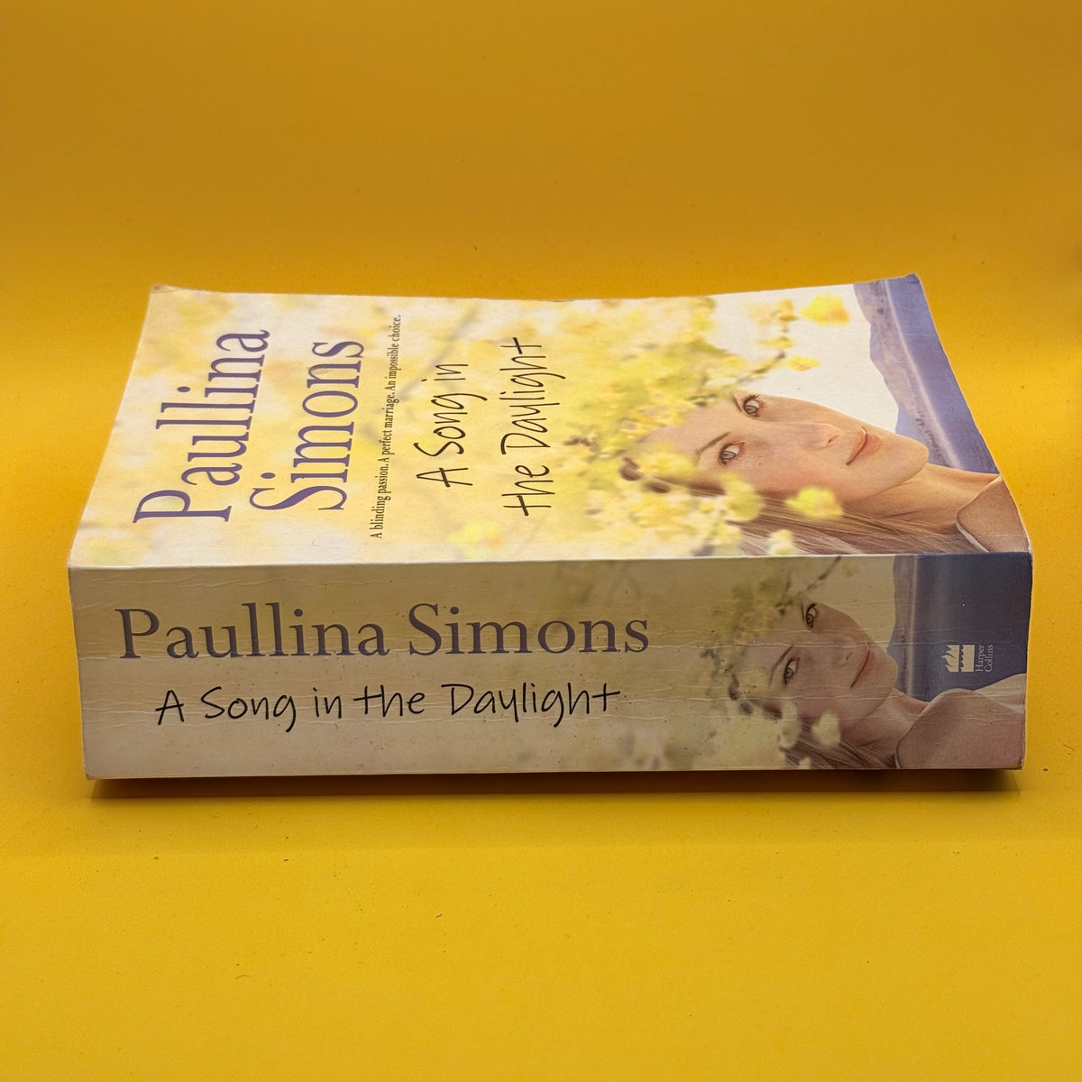 A Song in the Daylight by Paullina Simons