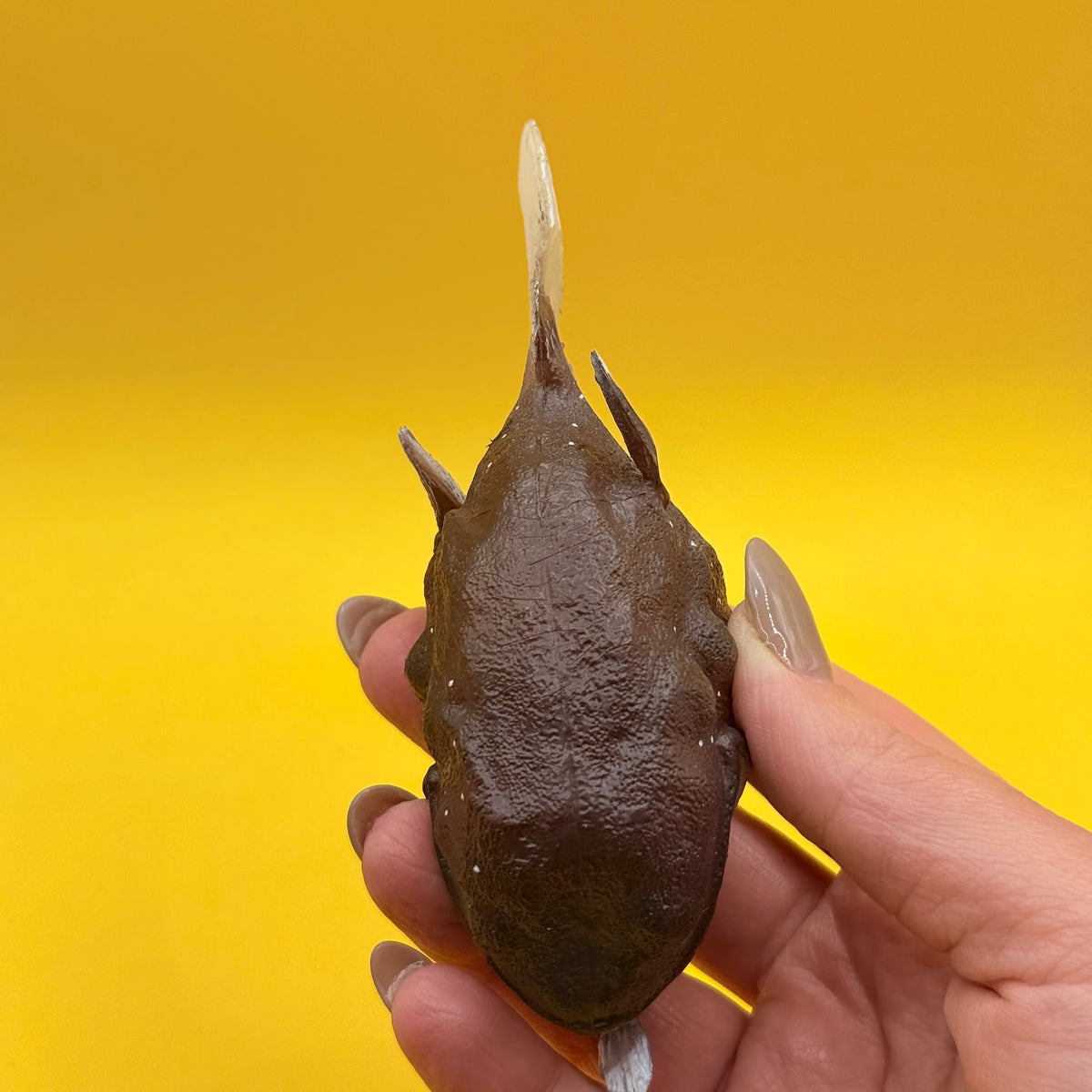 Anglerfish Figurine with Open-Mouth Detail