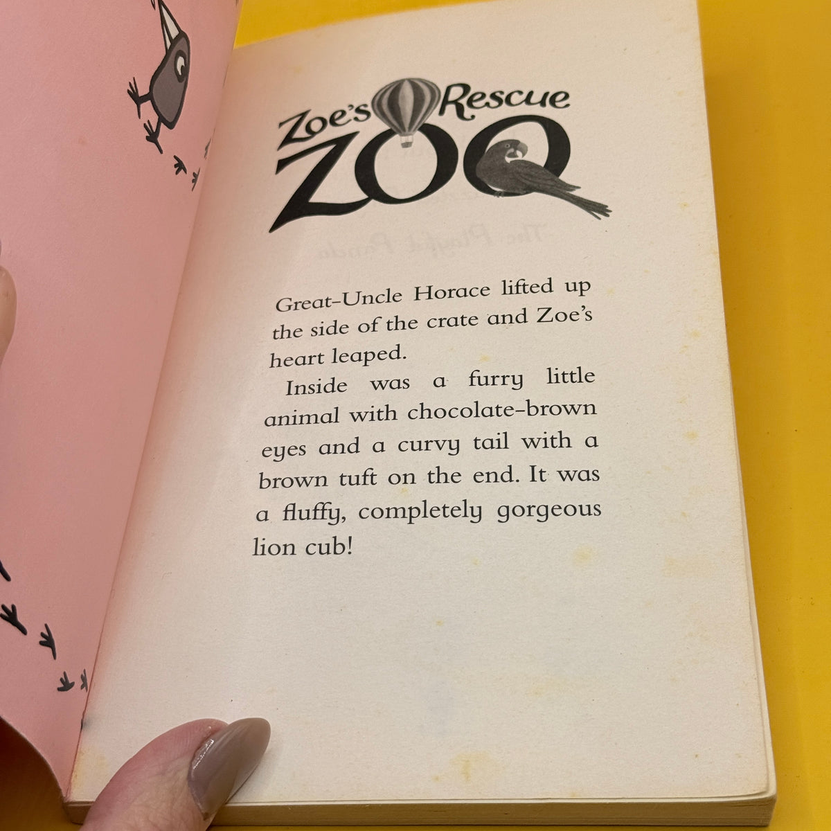 Zoe's Rescue Zoo: The Lonely Lion Cub by Amelia Cobb