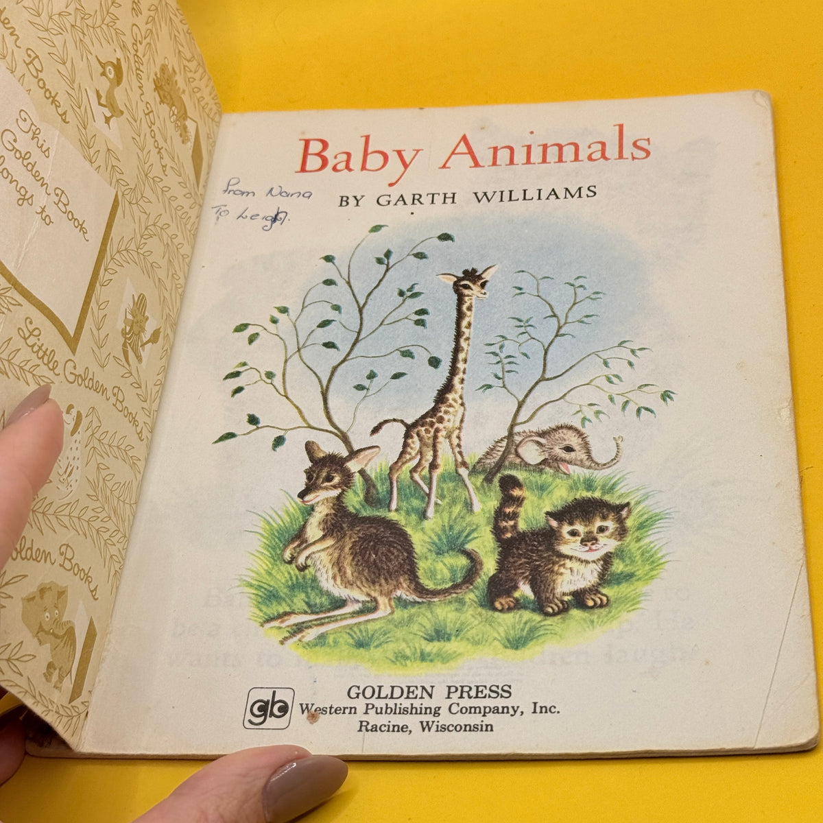 Vintage Golden Book: Baby Animals by Garth Williams (1979)
