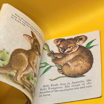 Vintage Golden Book: Baby Animals by Garth Williams (1979)