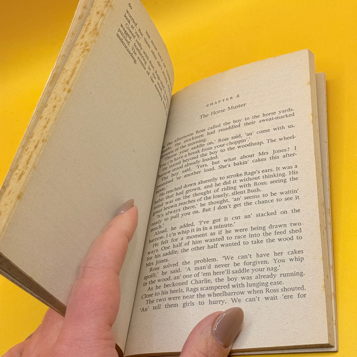 The Roan Colt of Yamboorah by Reginald Ottley (1971)