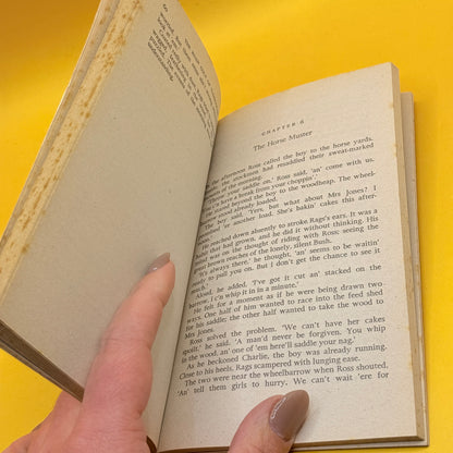 The Roan Colt of Yamboorah by Reginald Ottley (1971)