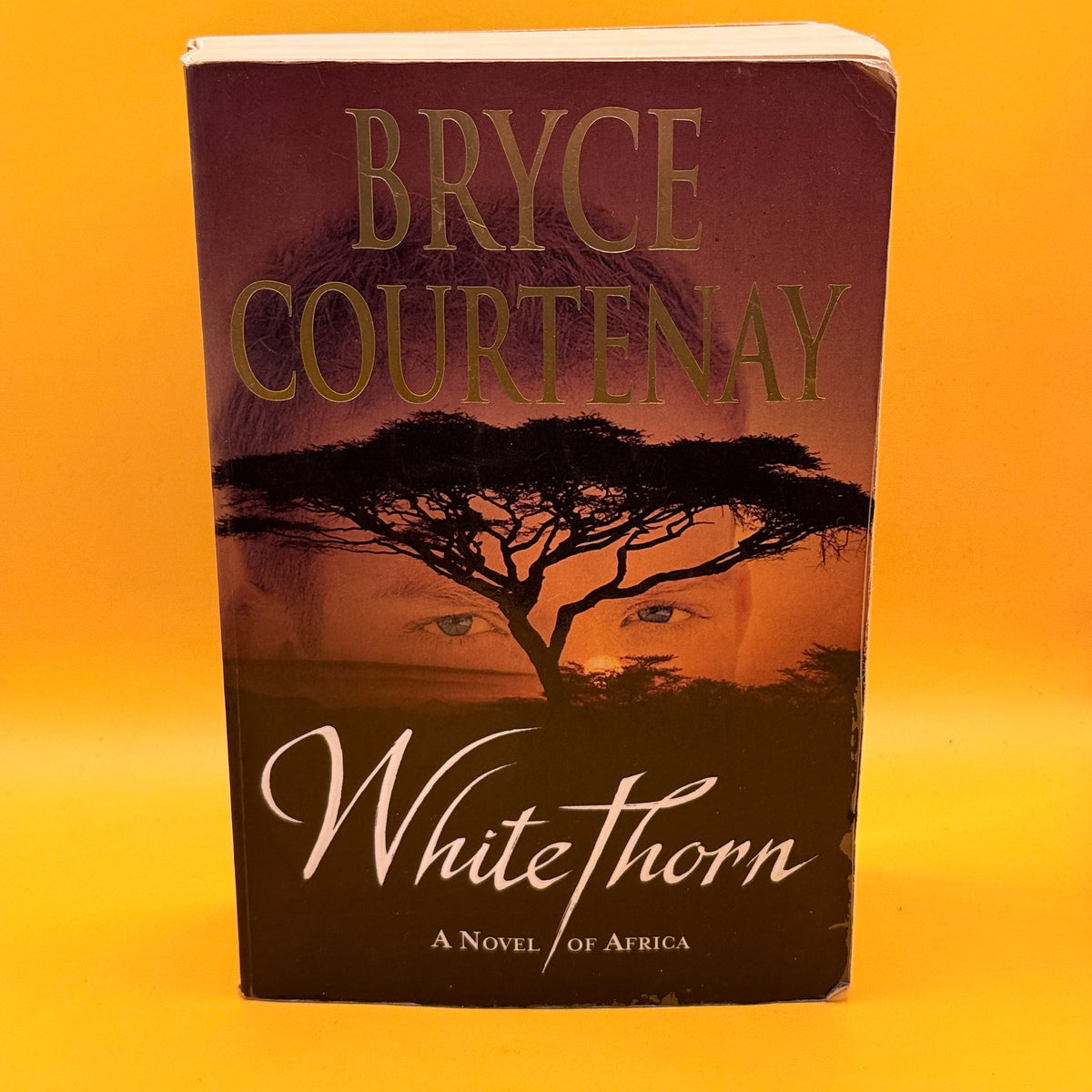 Whitethorn by Bryce Courtenay
