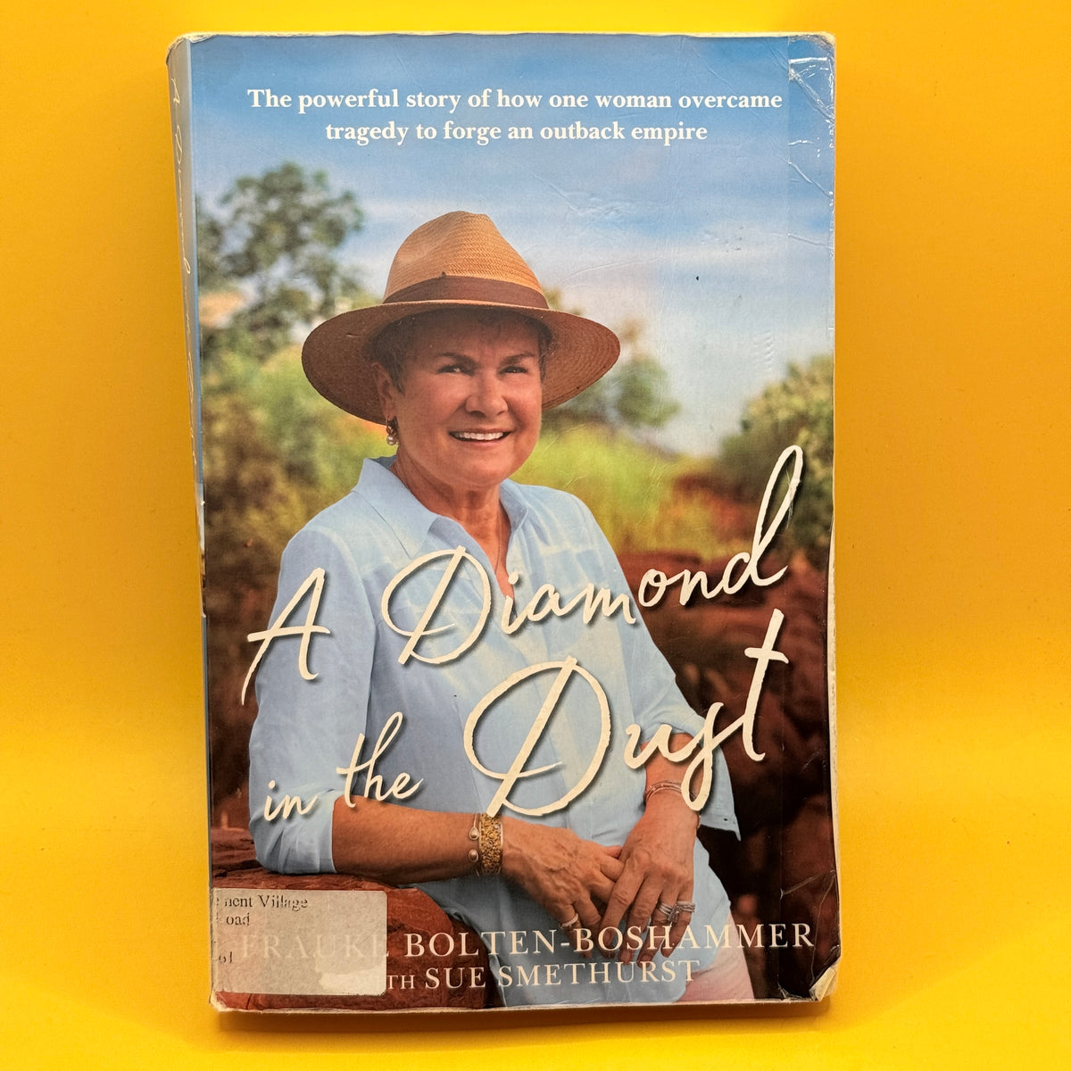 A Diamond in the Dust by Frauke Bolten-Boshammer with Sue Smethurst