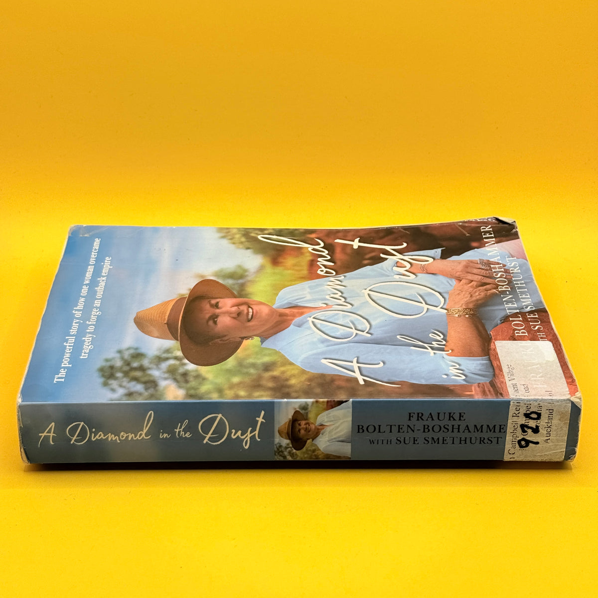 A Diamond in the Dust by Frauke Bolten-Boshammer with Sue Smethurst