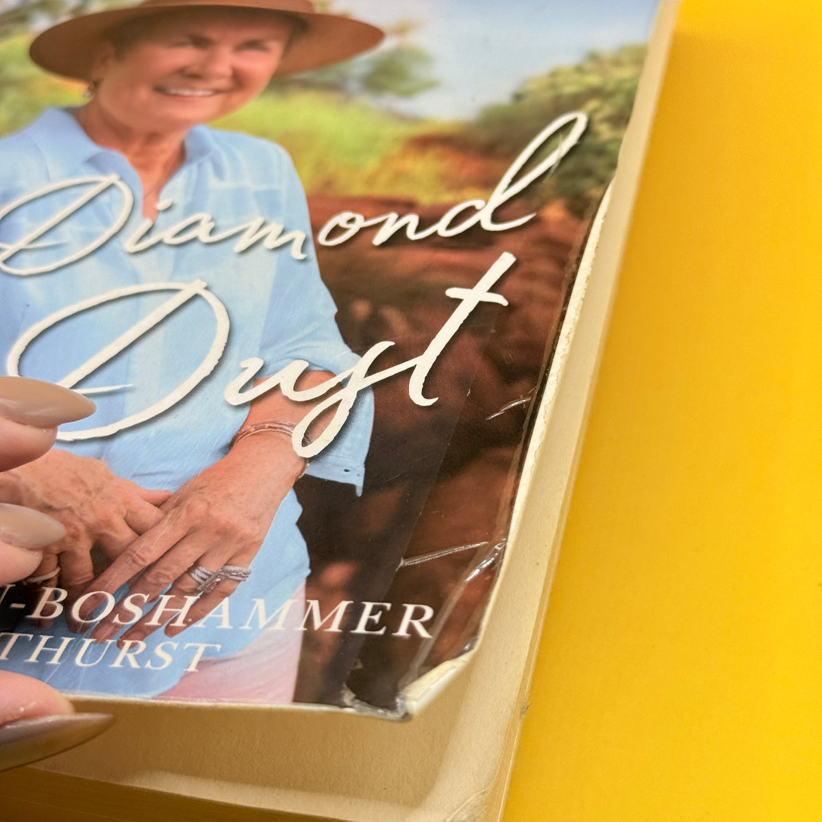 A Diamond in the Dust by Frauke Bolten-Boshammer with Sue Smethurst