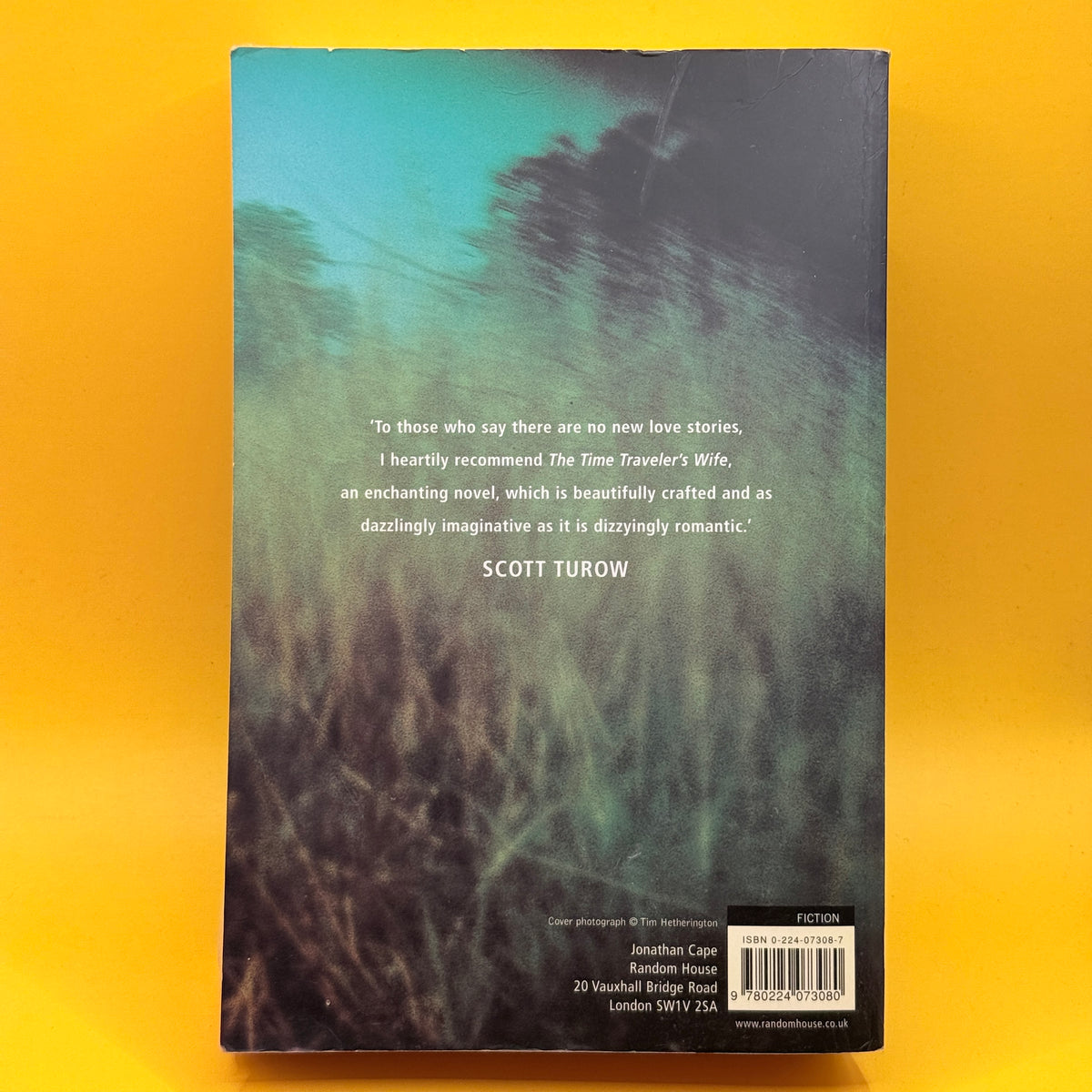 The Time Traveler's Wife by Audrey Niffenegger