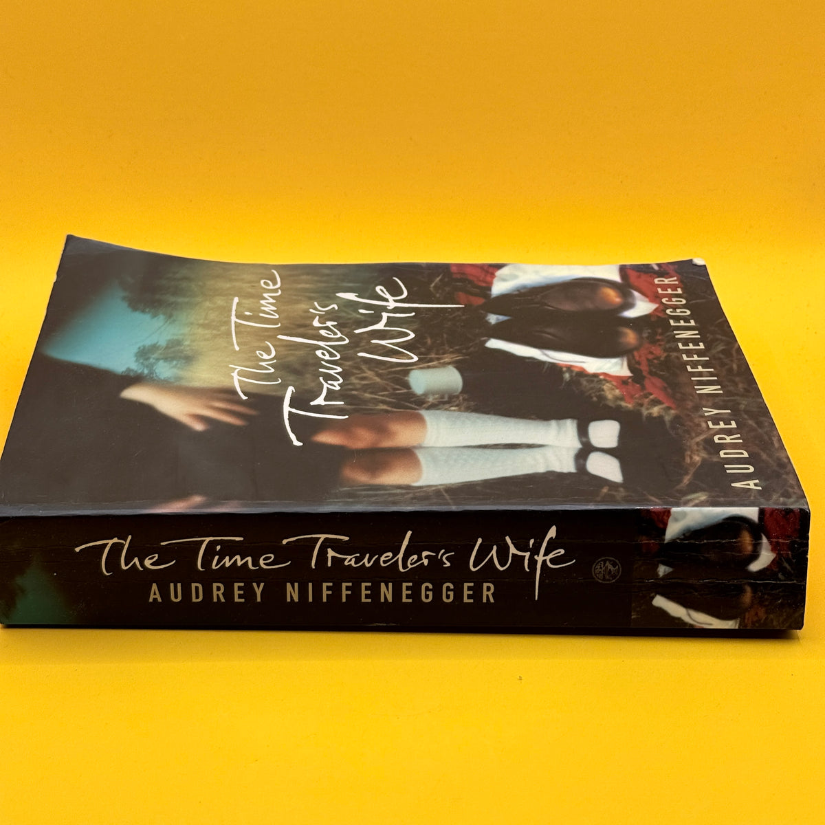 The Time Traveler's Wife by Audrey Niffenegger