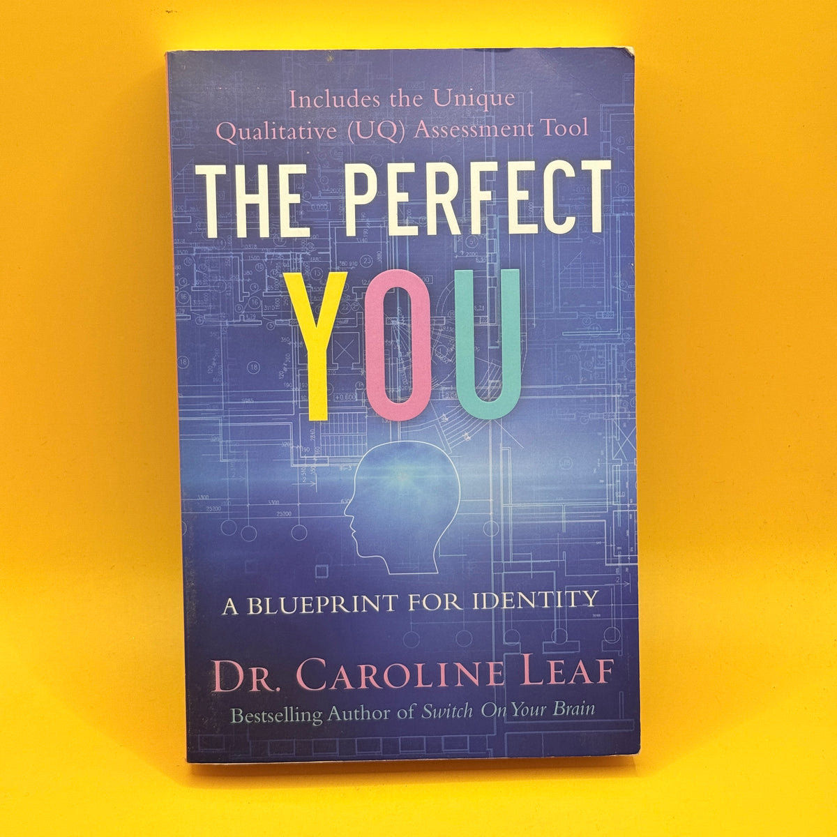 The Perfect You: A Blueprint for Identity by Dr. Caroline Leaf