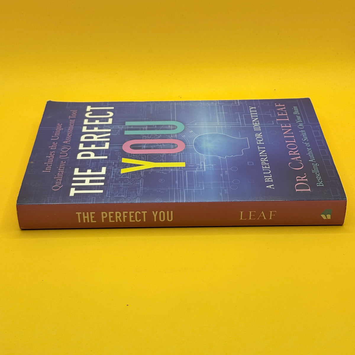 The Perfect You: A Blueprint for Identity by Dr. Caroline Leaf