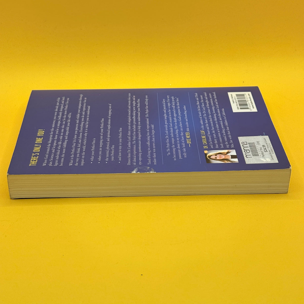 The Perfect You: A Blueprint for Identity by Dr. Caroline Leaf