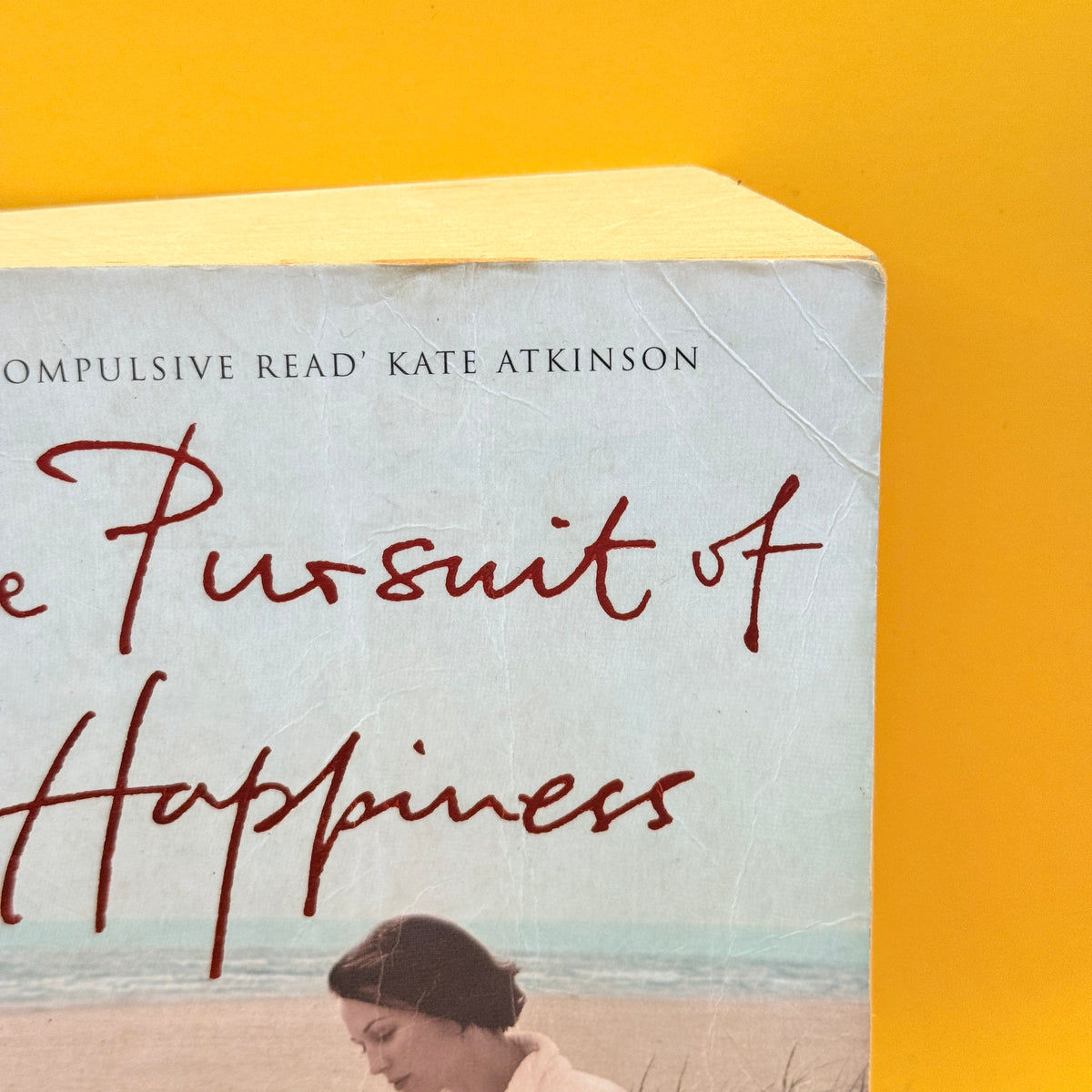 The Pursuit of Happiness by Douglas Kennedy