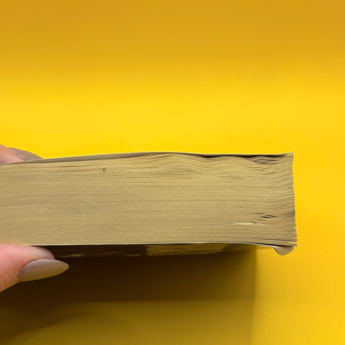 The Sundering by Walter Jon Williams