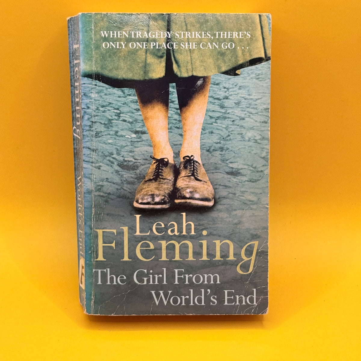 The Girl from World's End by Leah Fleming