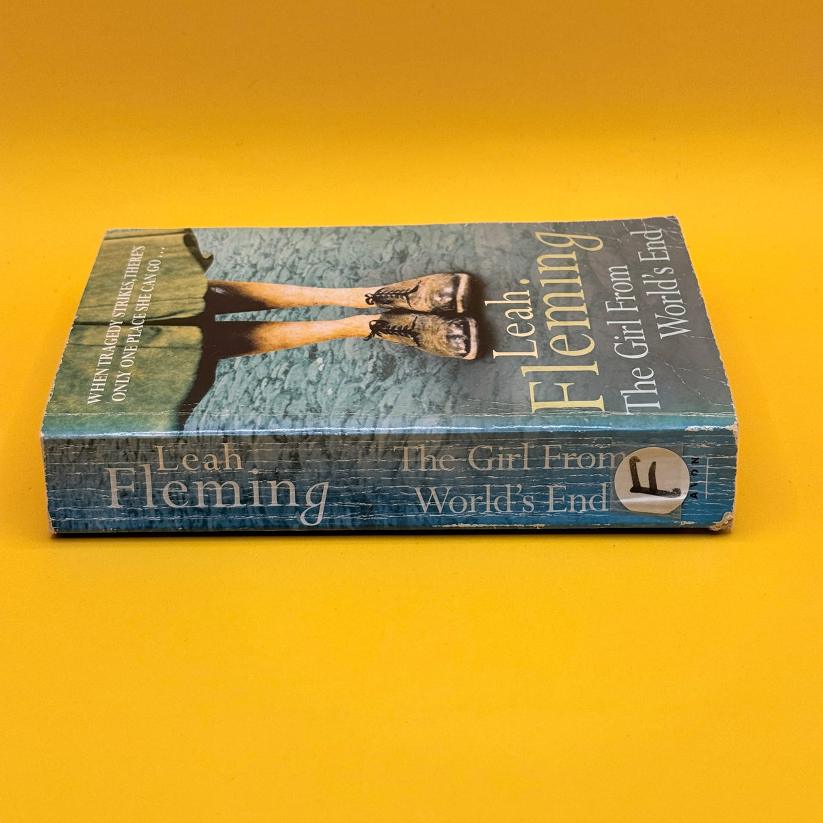 The Girl from World's End by Leah Fleming