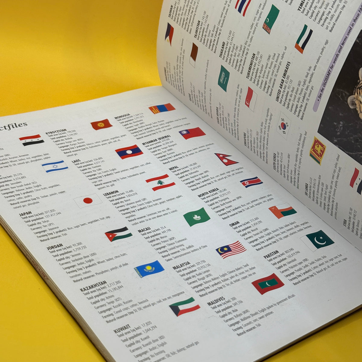 Just the Facts World Atlas by Parragon Books