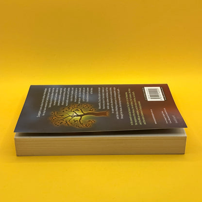 The Keys of the Kingdom Lord Sunday by Garth Nix