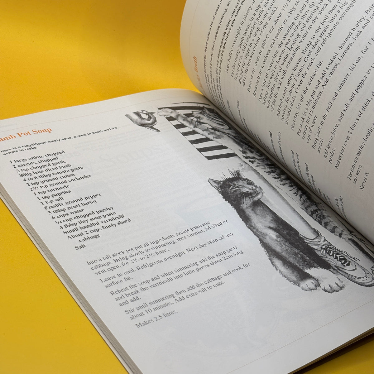 Soup & Something Cookbook by Elisabeth Pedersen