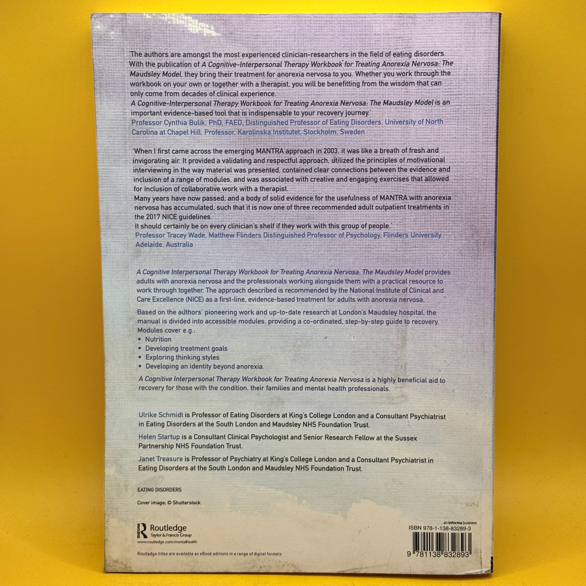 A Cognitive Interpersonal Therapy Workbook for Treating Anorexia Nervosa: The Maudsley Model by Ulrike Schmidt, Helen Startup and Janet Treasure