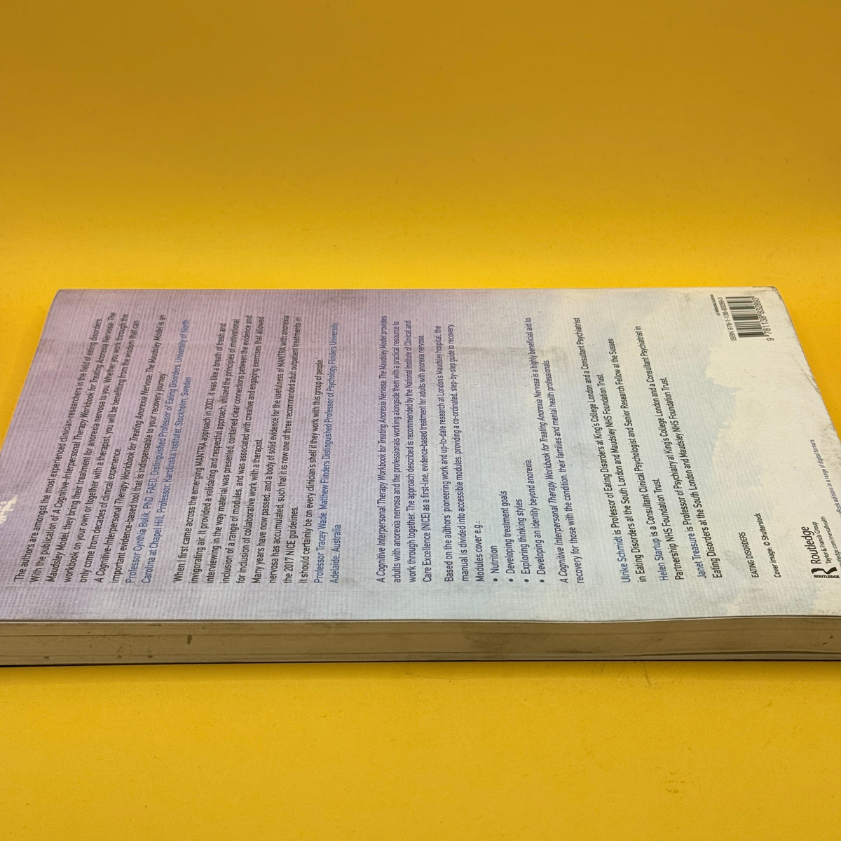 A Cognitive Interpersonal Therapy Workbook for Treating Anorexia Nervosa: The Maudsley Model by Ulrike Schmidt, Helen Startup and Janet Treasure