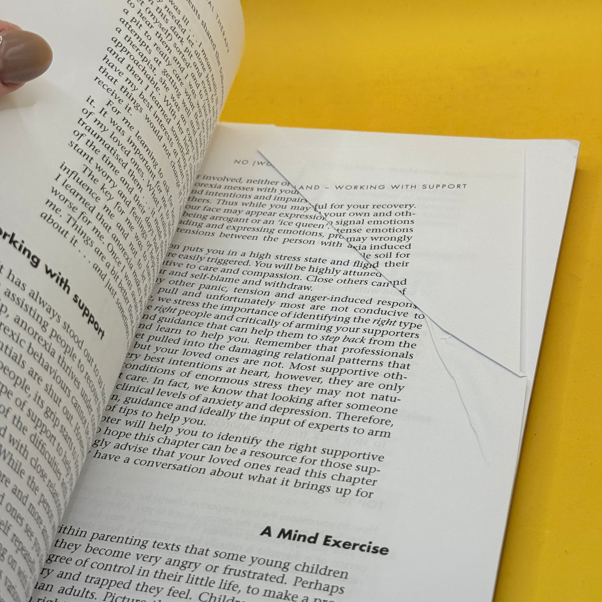 A Cognitive Interpersonal Therapy Workbook for Treating Anorexia Nervosa: The Maudsley Model by Ulrike Schmidt, Helen Startup and Janet Treasure