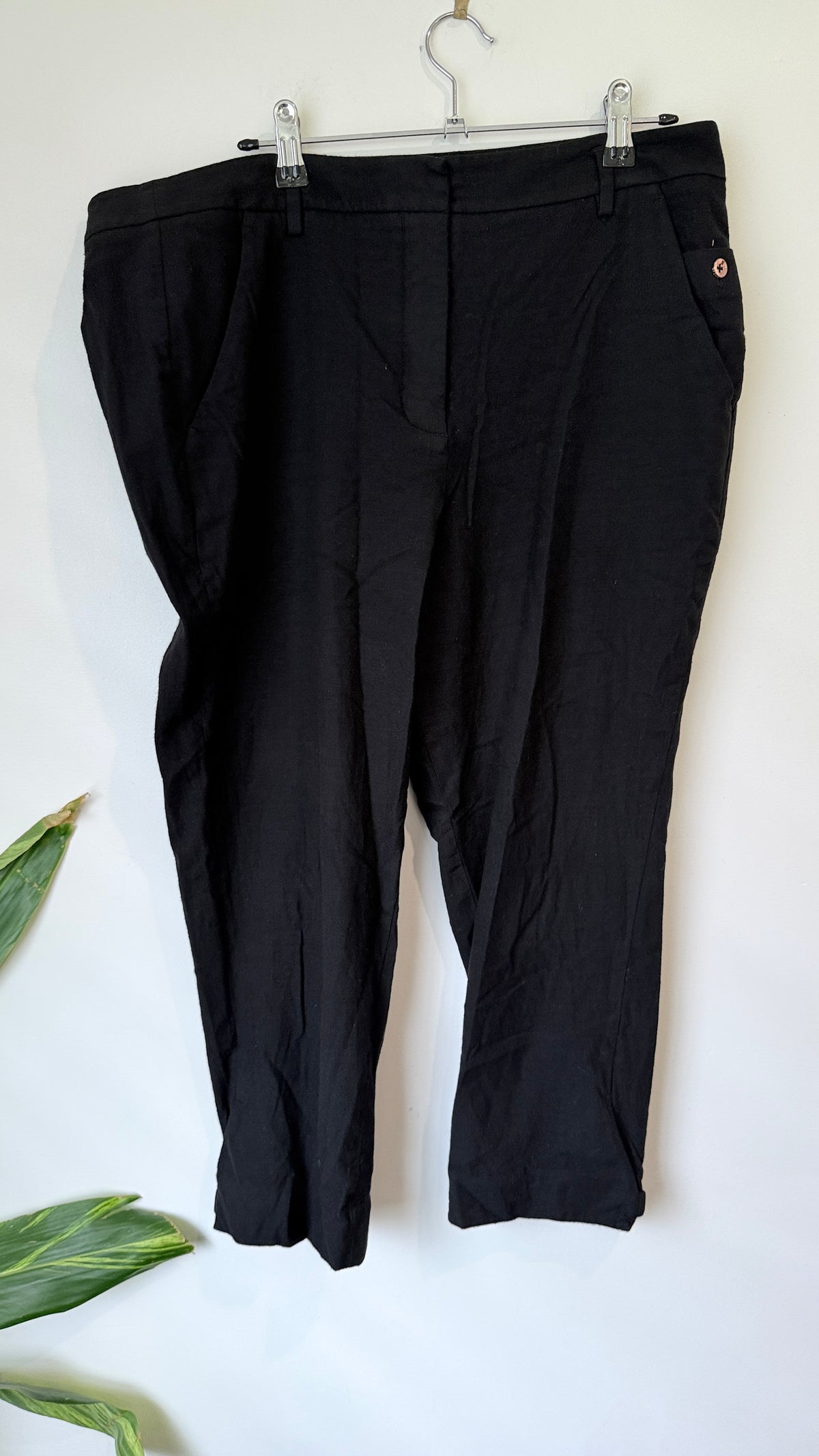 Kit & Ace Black Tapered Ankle Zip Pants Size 10