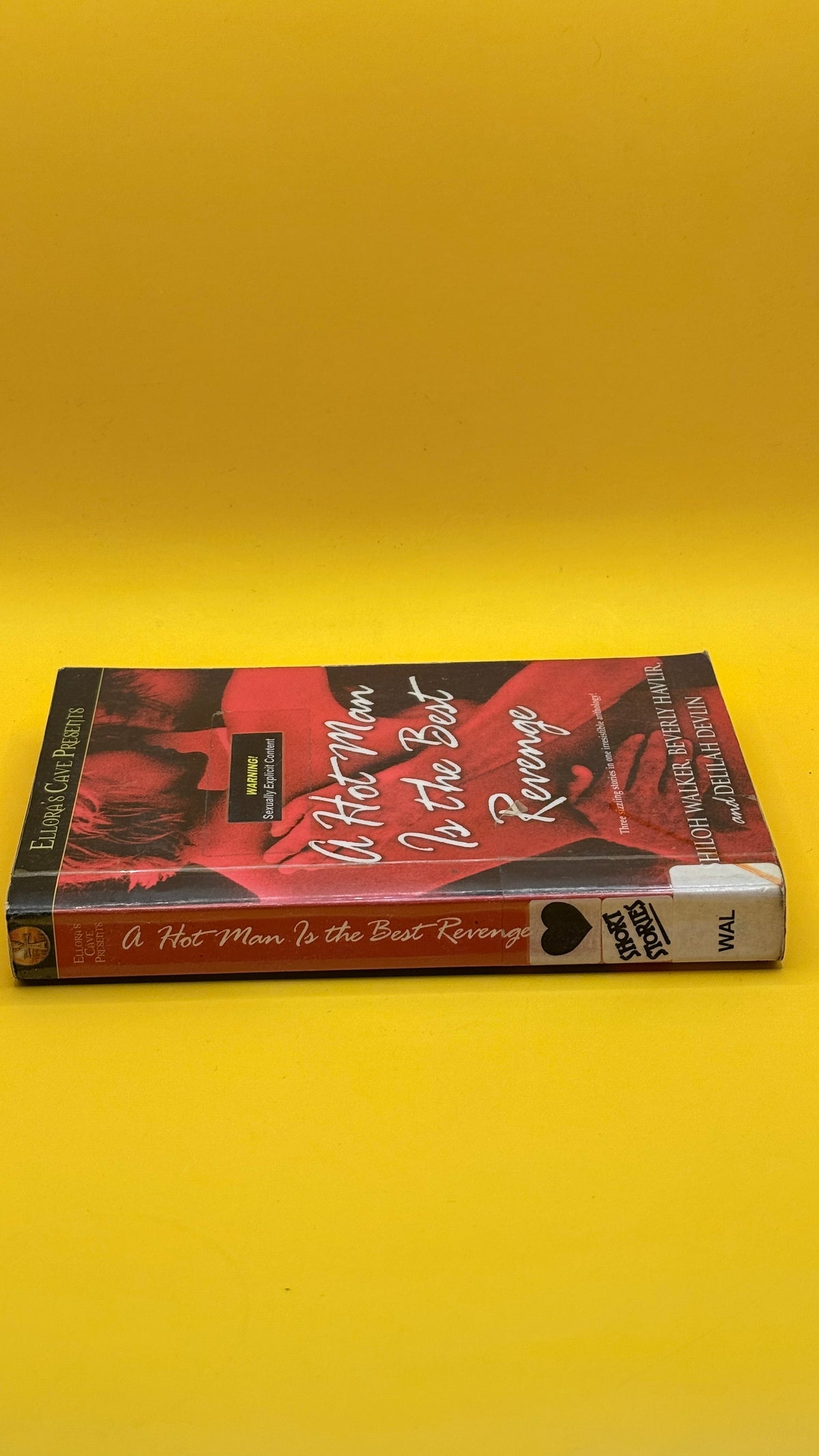 A Hot Man Is the Best Revenge by Shiloh Walker, Beverly Havlir and Delilah Devlin