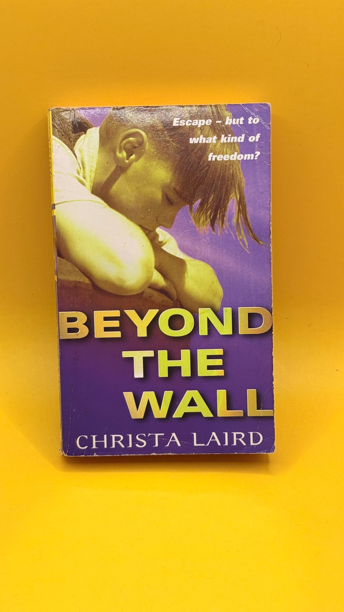 Beyond the Wall by Christa Laird