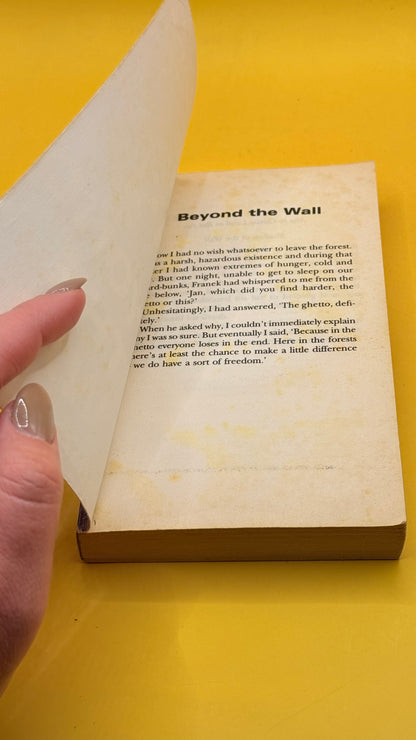 Beyond the Wall by Christa Laird