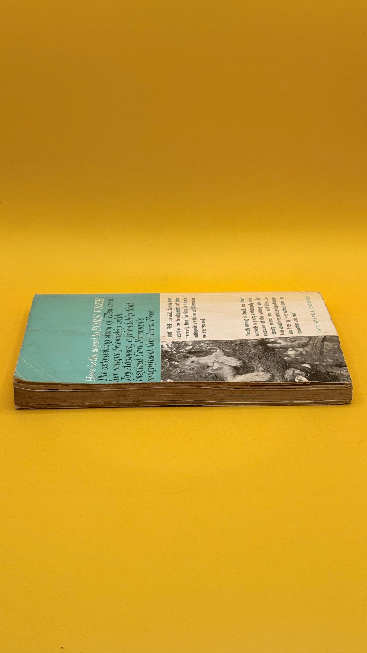 Living Free by Joy Adamson (1967)