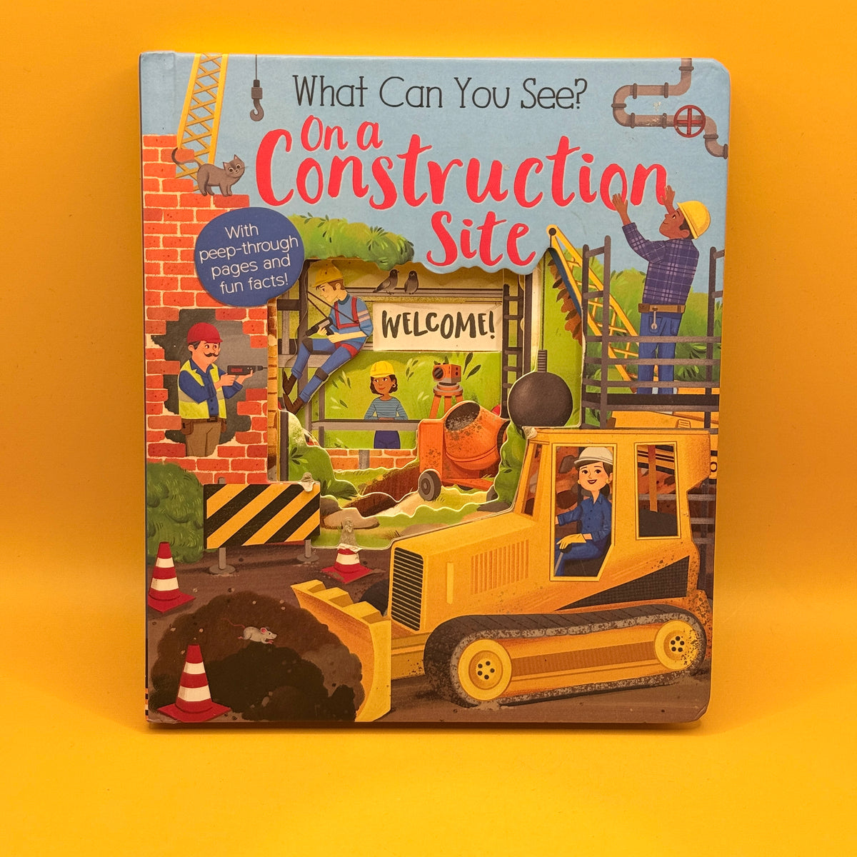 What Can You See? On a Construction Site by Kate Ware