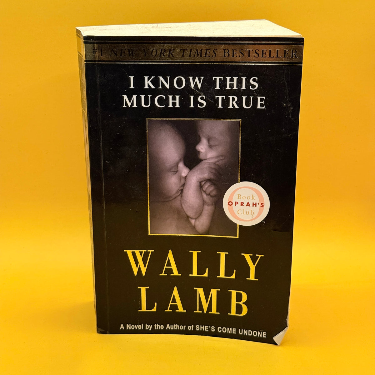 I Know This Much Is True by Wally Lamb