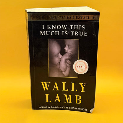 I Know This Much Is True by Wally Lamb