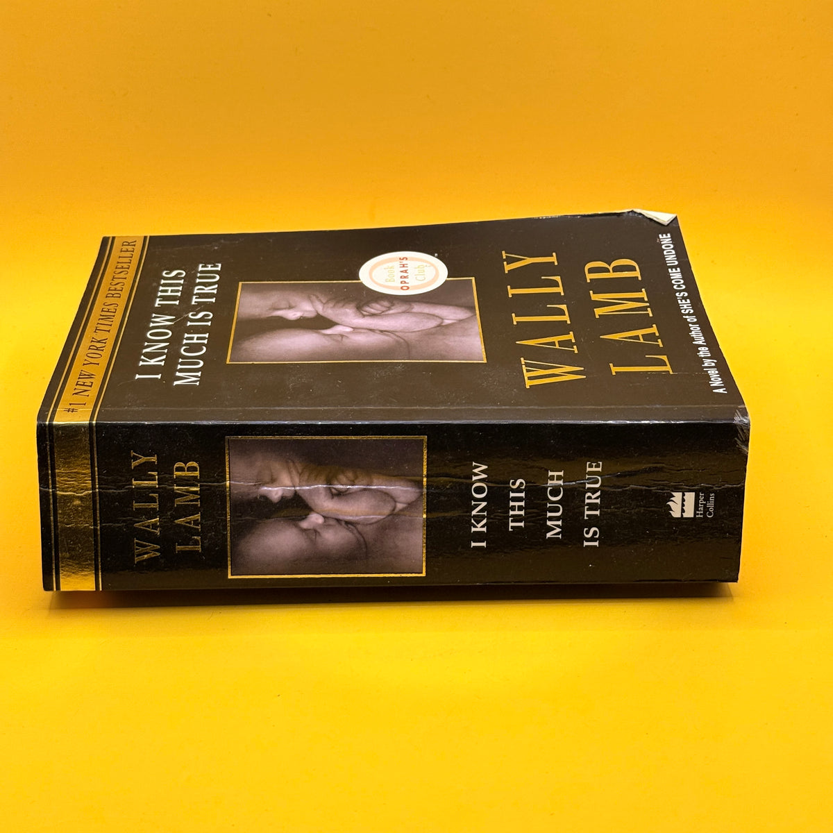 I Know This Much Is True by Wally Lamb