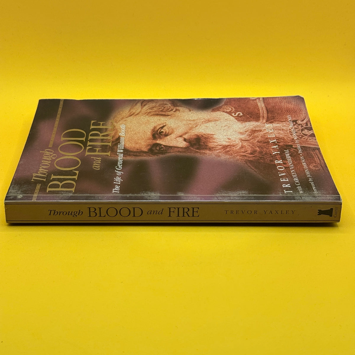 Through Blood and Fire by Trevor Yaxley with Carolyn Vanderwal