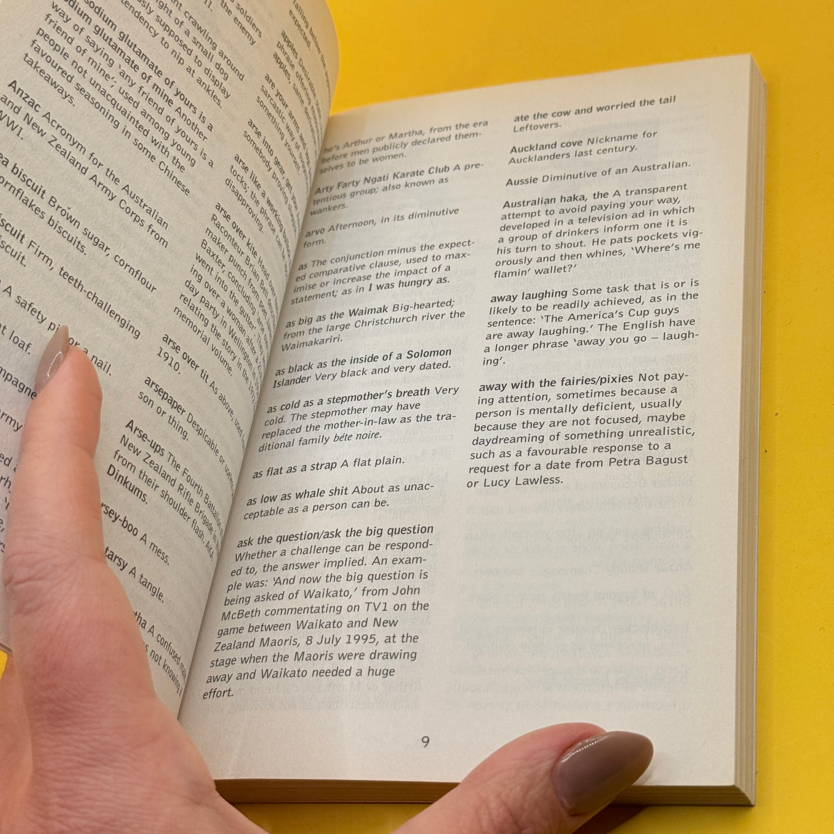David McGill’s Complete Kiwi Slang Dictionary by David McGill