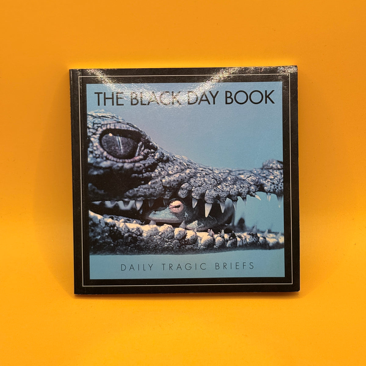The Black Day Book: Daily Tragic Briefs