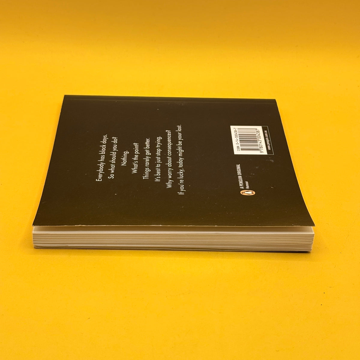 The Black Day Book: Daily Tragic Briefs