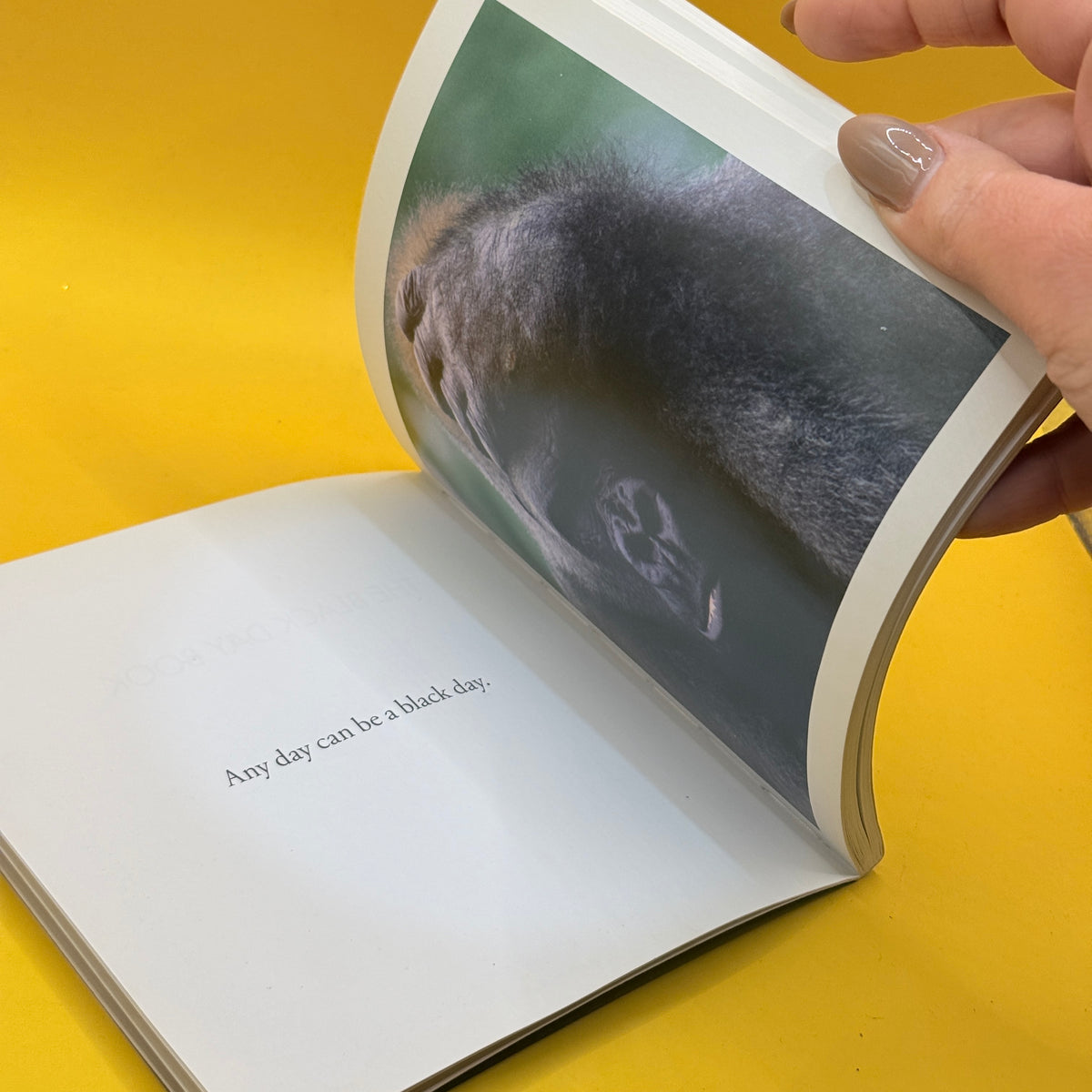 The Black Day Book: Daily Tragic Briefs