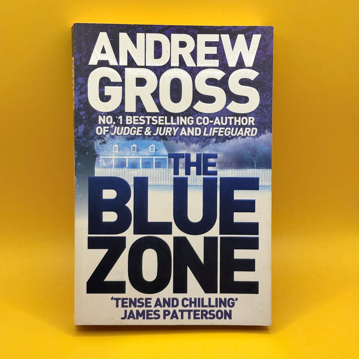 The Blue Zone by Andrew Gross