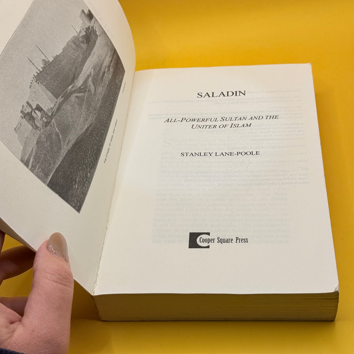 Saladin by Stanley Lane-Poole