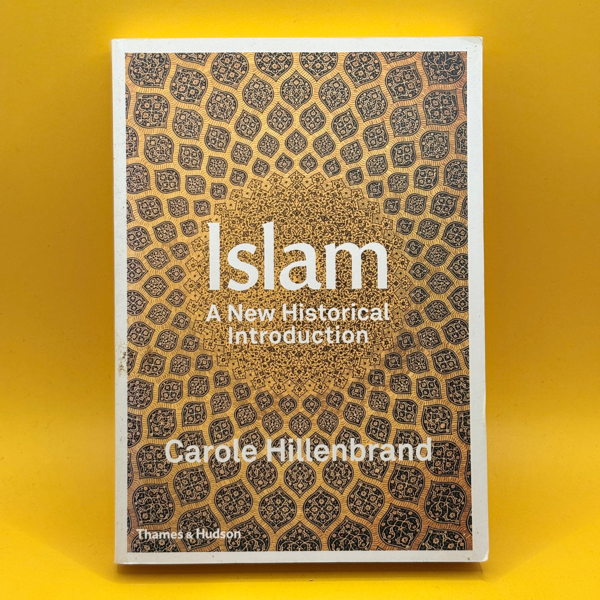 Islam: A New Historical Introduction by Carole Hillenbrand