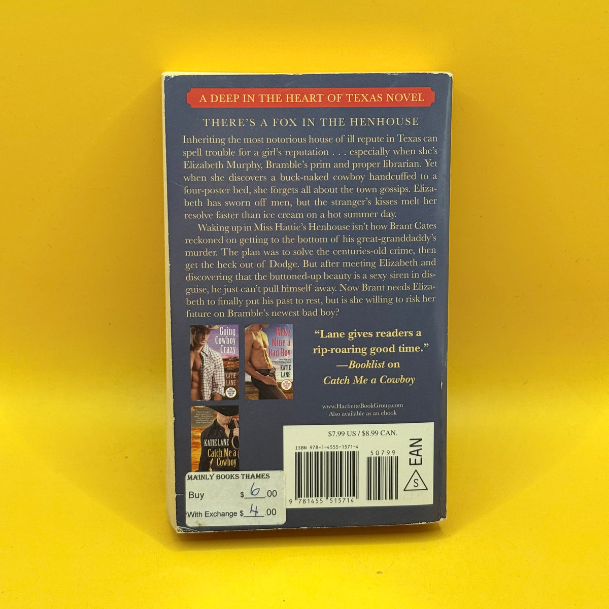 Trouble in Texas by Katie Lane