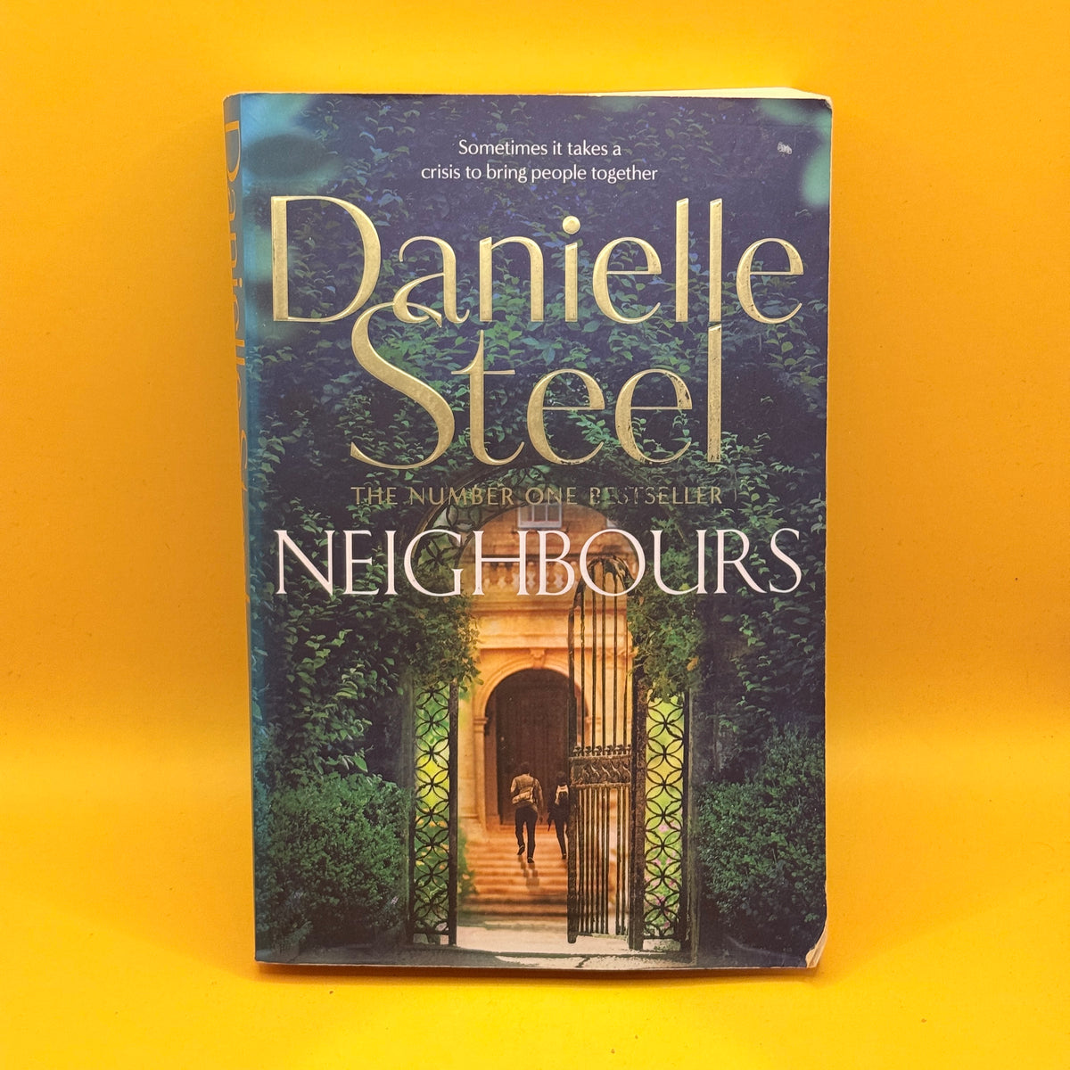 Neighbours by Danielle Steel