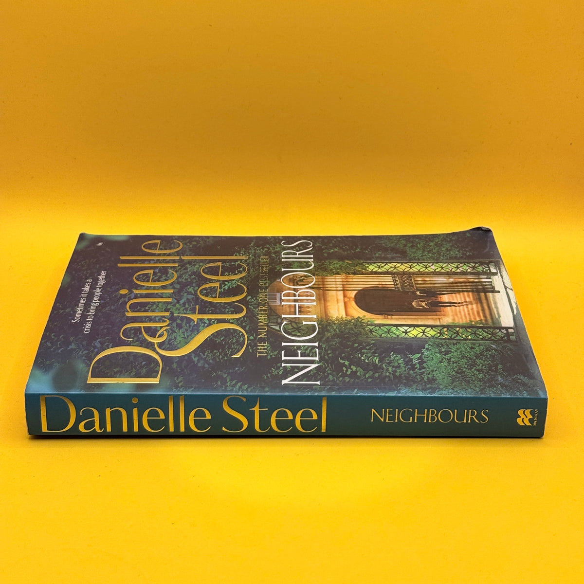 Neighbours by Danielle Steel